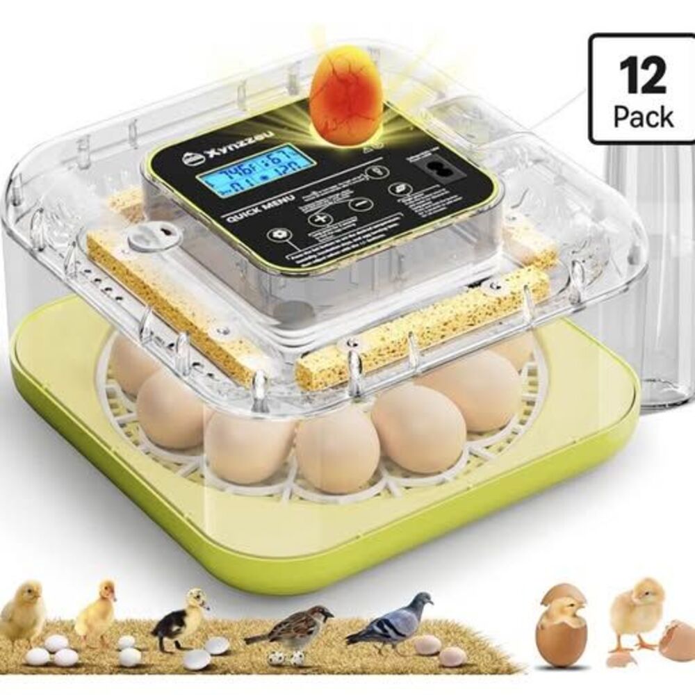 12-Egg Automatic Incubator-hatching chicken, duck, quail and other poultry eggs.
